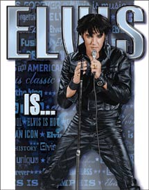 Elvis is Tin Sin