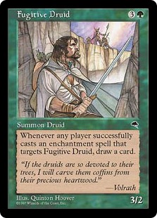 Fugitive Druid