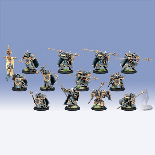 Warmachine: Khador: Iron Fang Pikemen / Black Dragons Unit with Attachment (12): 33104 - Used