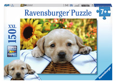 Puppy Picnic Puzzle: 10014