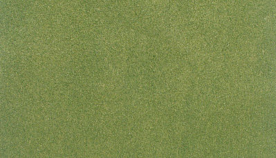 Ready Grass: Spring Grass Large Roll (50x100): RG5121