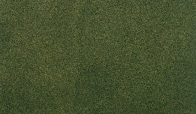 Ready Grass: Forest Grass Large Roll (50x100): RG5123