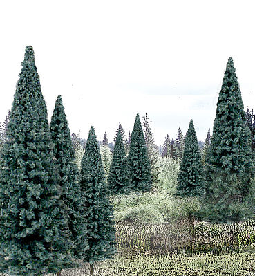 Ready Made Trees: Blue Spruce (4 in): TR1588