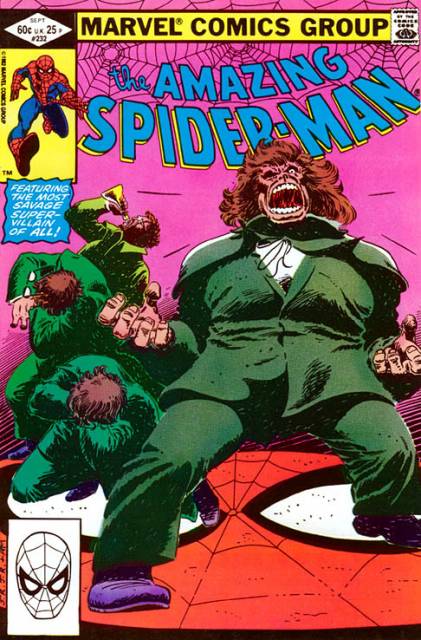 The Amazing Spider-man (1963) no. 232 - Used