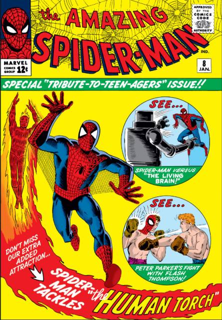 The Amazing Spider-man (1963) no. 8 - Used