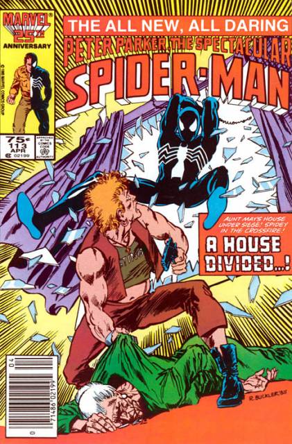 The Spectacular Spider-Man (1976) no. 113 - Used
