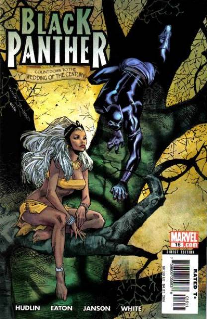 Black Panther (2005) no. 16 - Used
