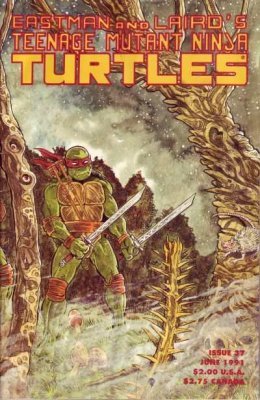 Teenage Mutant Ninja Turtles (1984) no. 37 - Used