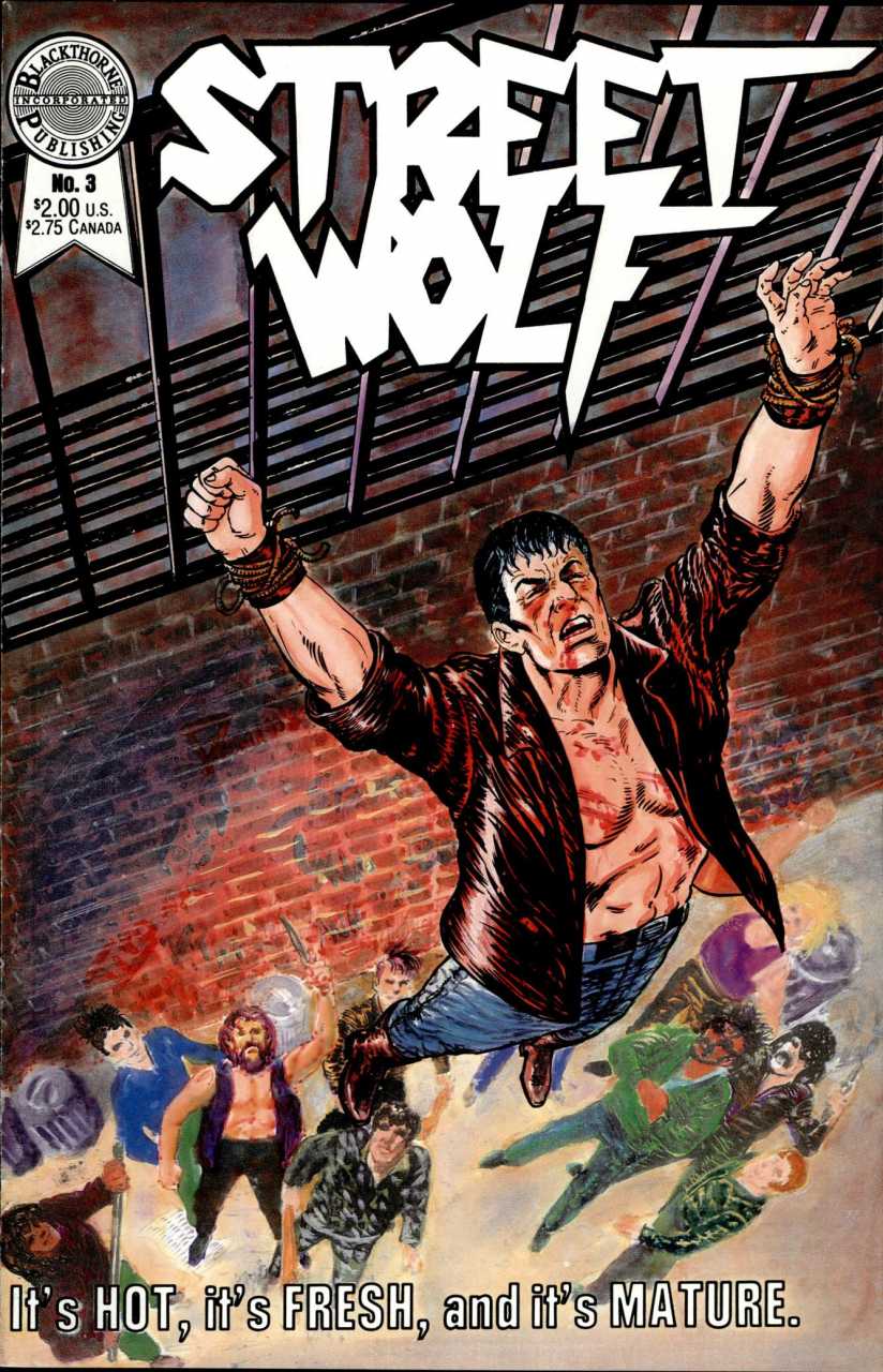 Street Wolf (1986) no. 3 - Used