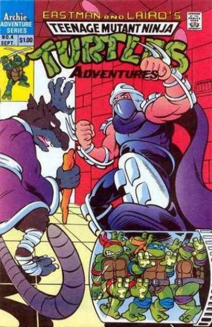 Teenage Mutant Ninja Turtles Adventures (1989) no. 4 - Used