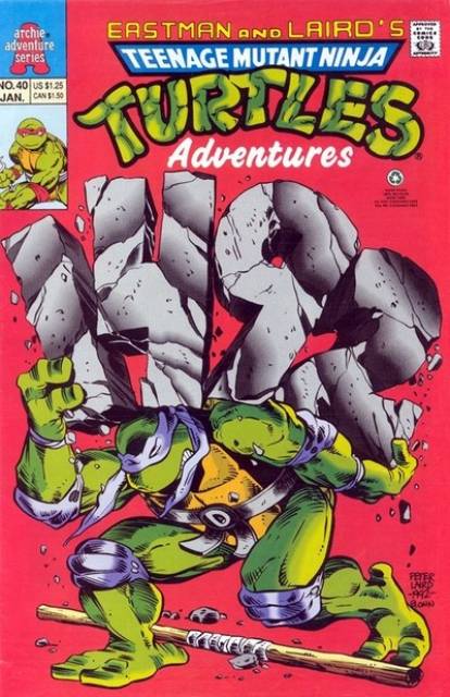 Teenage Mutant Ninja Turtles Adventures (1989) no. 40 - Used