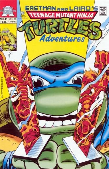 Teenage Mutant Ninja Turtles Adventures (1989) no. 41 - Used