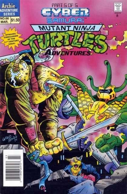 Teenage Mutant Ninja Turtles Adventures (1989) no. 66 - Used