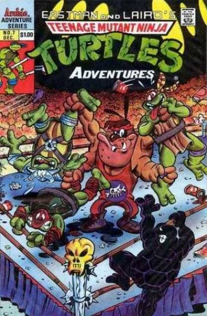 Teenage Mutant Ninja Turtles Adventures (1989) no. 7 - Used