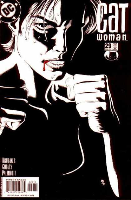 Catwoman (2002) no. 29 - Used