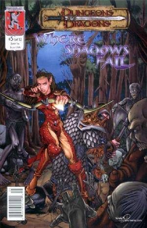 Dungeons and Dragons Where Shadows Fall (2003) no. 5 - Used
