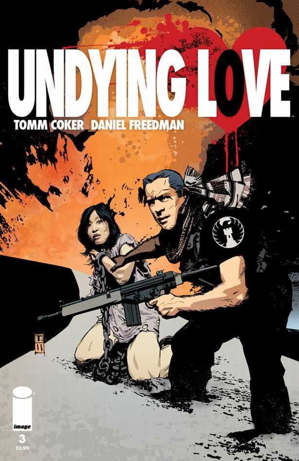 Undying Love (2011) no. 3 - Used