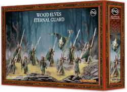 Warhammer: Age of Sigmar: Wood Elves Eternal Guard
