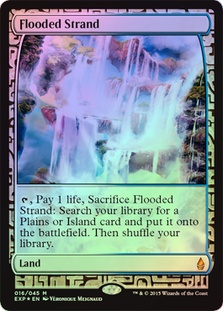 Flooded Strand (Expedition)