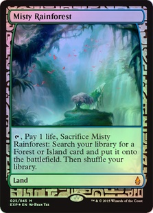 Misty Rainforest (Expedition)