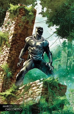 Black Panther no. 170 (2017 Series) (Variant Cover)
