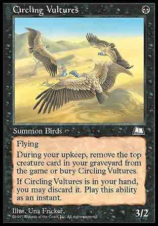 Circling Vultures 