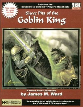 D20: Slave Pits of the Goblin King - Used
