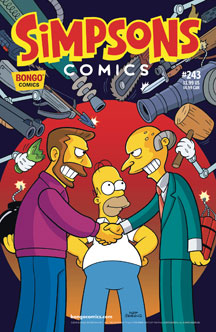 The Simpsons no. 243 (1993 Series)
