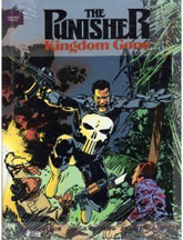The Punisher: Kingdom Gone - Graphic Novel - Used