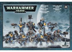 Warhammer 40k: Space Wolves Grey Hunters 53-06