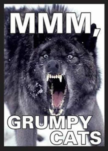 50 Sleeves: Wolf MMM, Grumpy Cats: LGNART034