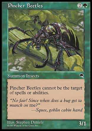 Pincher Beetles 