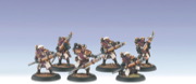 Warmachine: Protectorate of Menoth: Deliverers Unit - Used