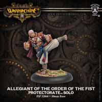 Warmachine: Protectorate of Menoth: Allegiant of the Order of the Fist - Used
