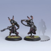 Warmachine: Cryx: Satyxis Raiders Troops (2): 34033 (DR)