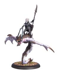 Hordes: Legion of Everblight: Blighted Nyss Sorceress and Hellion: 73037