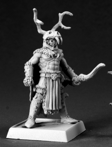 Pathfinder: The Stag Lord: 60073
