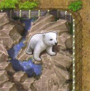 Zooloretto: Polar Bear Expansion
