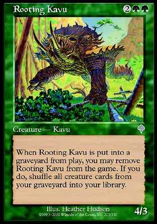 Rooting Kavu 