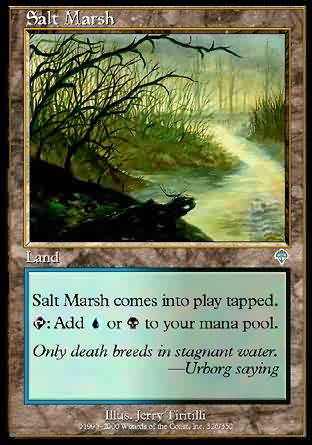 Salt Marsh 