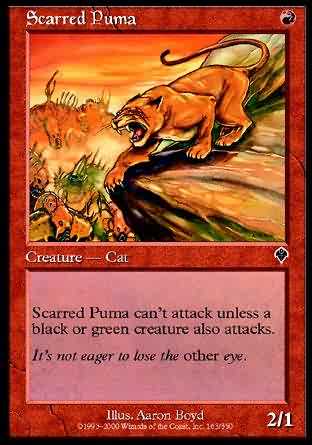 Scarred Puma 
