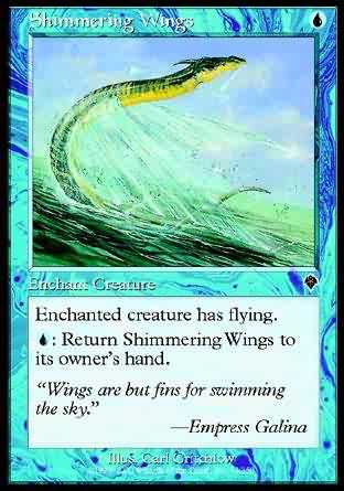 Shimmering Wings 