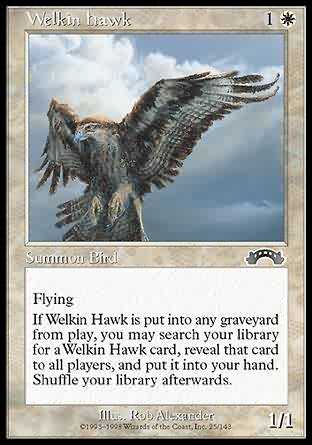 Welkin Hawk 