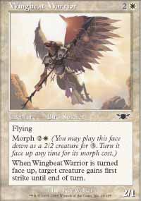 Wingbeat Warrior 