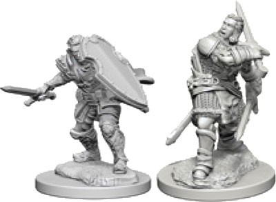 Dungeons and Dragons Nolzurs Marvelous Unpainted Minis: Human Male Paladin
