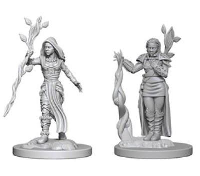 Dungeons and Dragons Nolzurs Marvelous Unpainted Minis: Human Female Druid