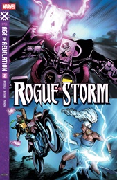 Rogue Storm no. 2 (2025 Series)