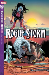 Rogue Storm no. 3 (2025 Series)