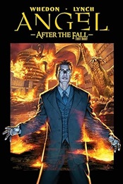 Angel: After the Fall Volume 2: First Night HC - Used