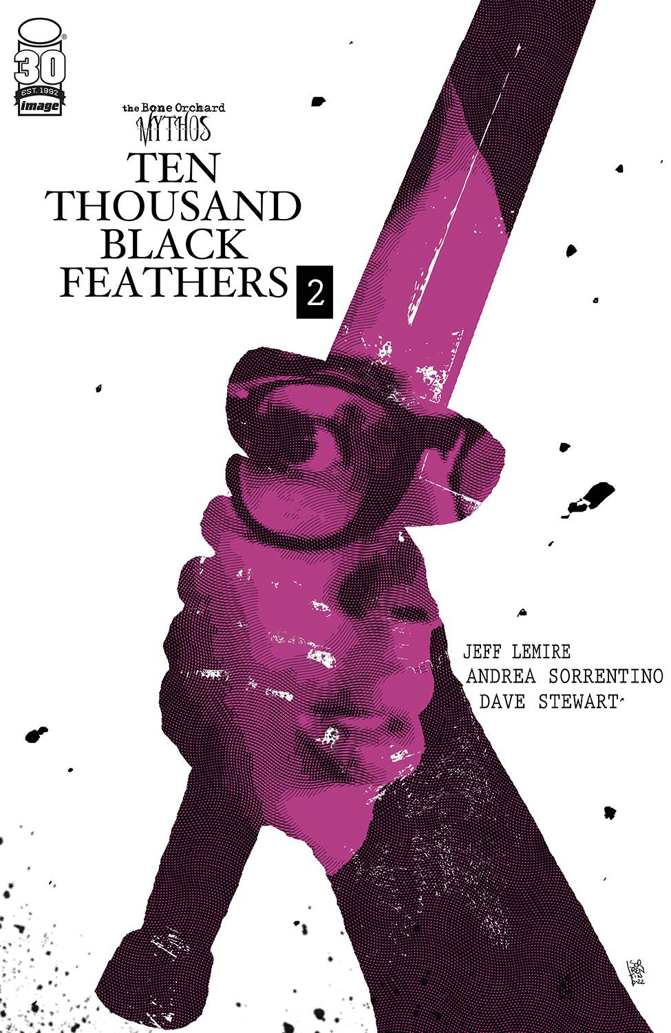 Ten Thousand Black Feathers no. 2 (2022 Series) (MR)